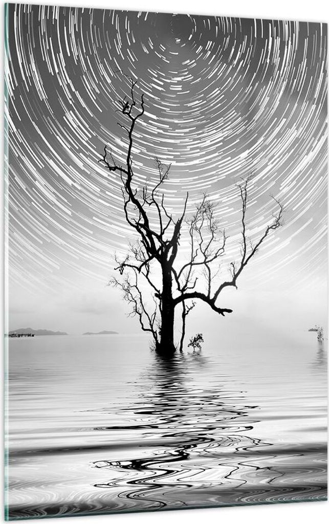 Bilder auf glas - Einteilig - Schwarzweiß Baum See - 50x70cm - Glasbilder - Wandbilder - Bilder - zum Aufhängen bereit - Wanddekoration aus Glas ...