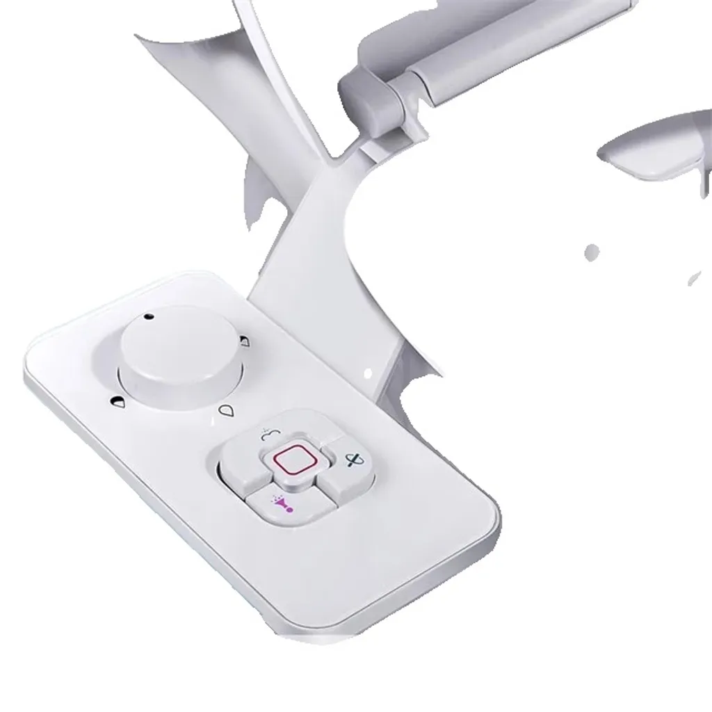 Bidet WC Ultra-Mince à Doubles Buses avec Contrôle de Pression d'Eau