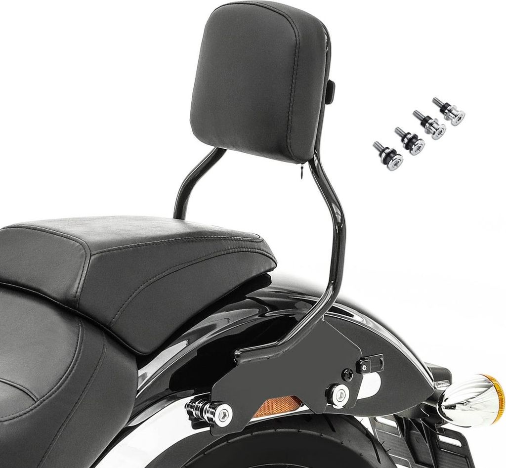 Sissybar für Harley Softail Low Rider ST 22-25 mit Docking Kit Abnehmb
