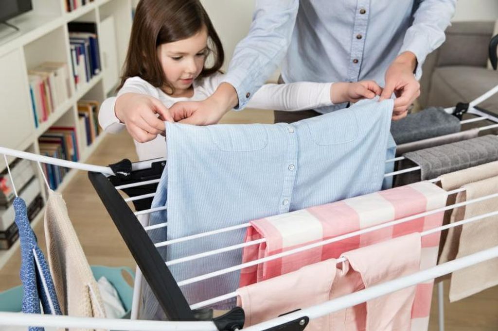 Vileda Suszarka Na Bieliznę Premium 2W1 157332... Zdjęcie produktu 6