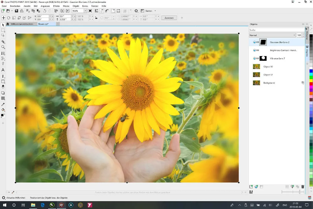 Solution de création de logos CorelDRAW 2019 pour graphistes sous Windows