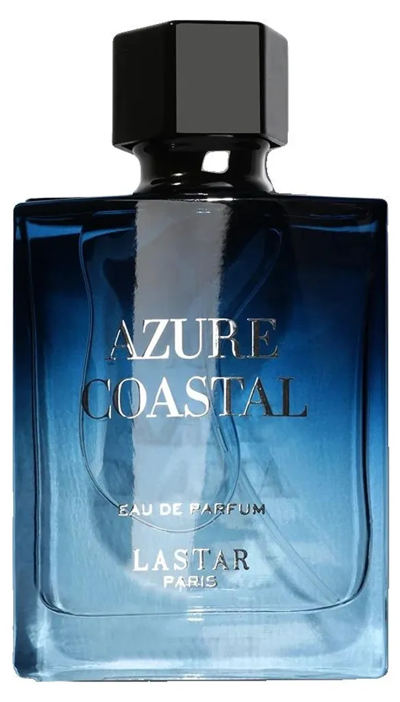 Parfum homme fragrance boisée classique longue durée bleu chic 100ml
