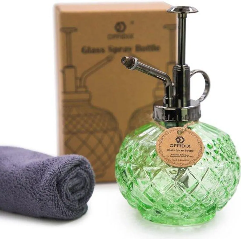 Petit arrosoir à pompe pneumatique vert de 300 ml pour intérieur