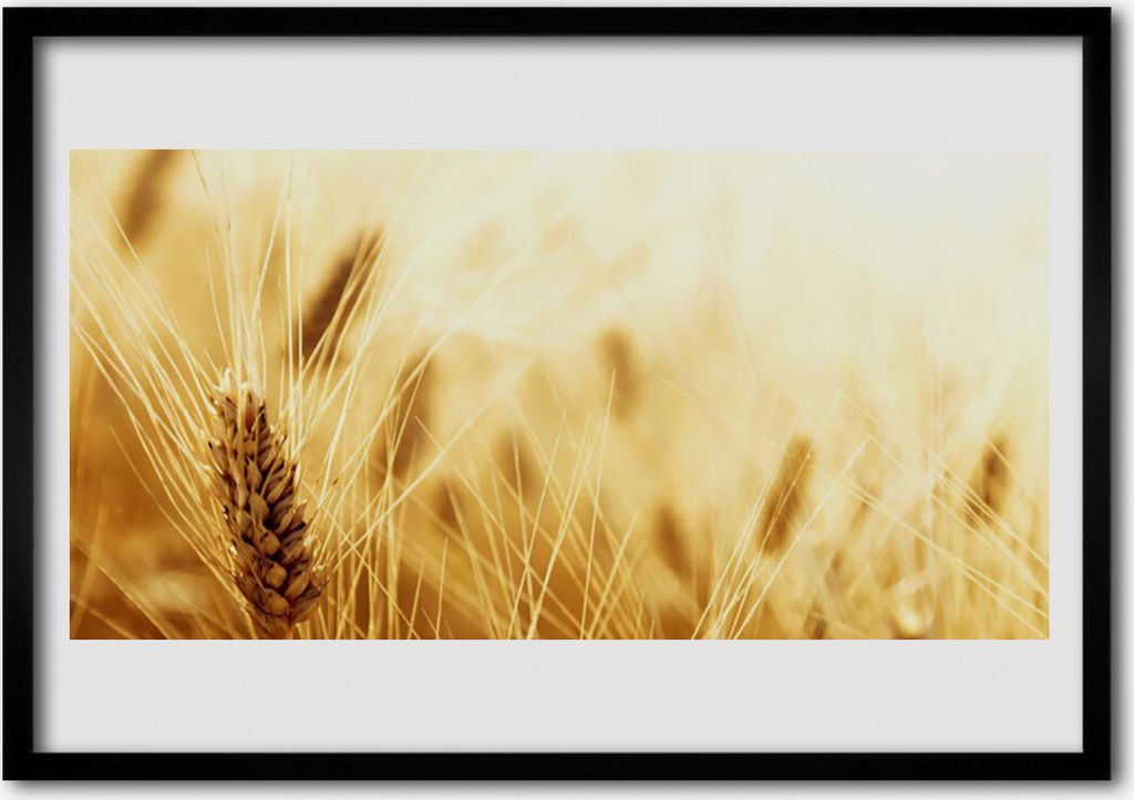 Bild 70x50 MDF-Rahmen Wandkunst Weizenpflanze Natur