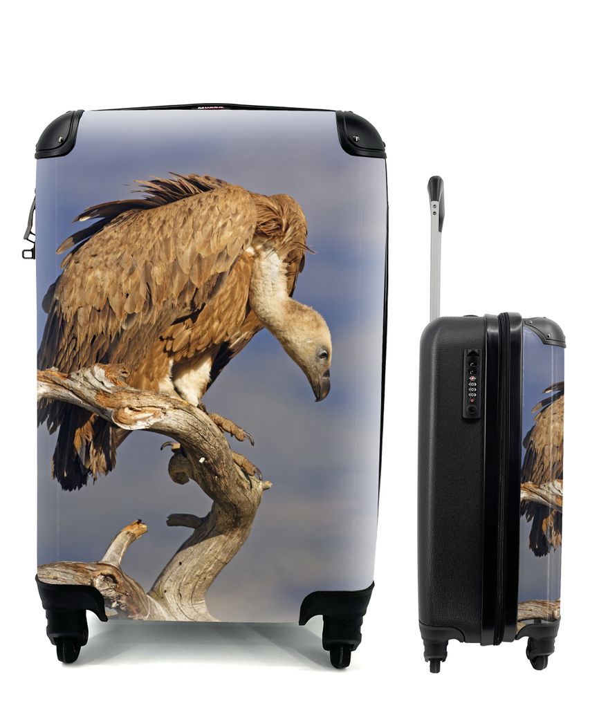 MuchoWow Koffer Handgepäck Trolley Rollkoffer Kleine Reisekoffer mit 4 Rollen - Kahlkopfgeier auf einem kahlen Ast - Cabin Size < 55x40x23 cm & ...