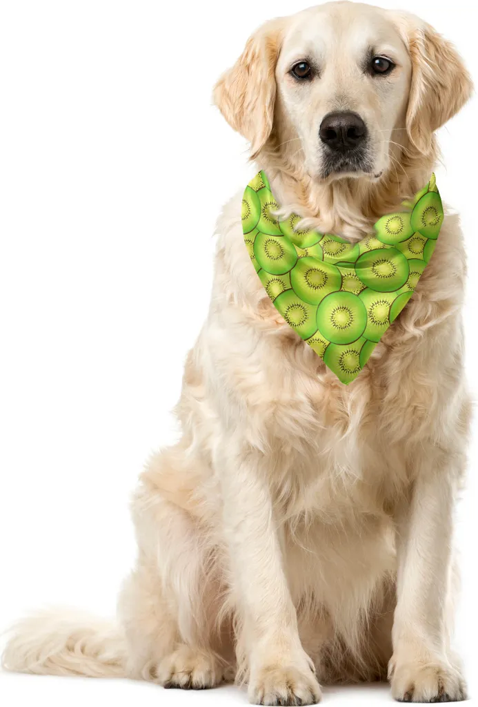 ABAKUHAUS Bandana per animali domestici Kiwi, motivo a fette di frutta esotica, 55x55 cm, verde lime e giallo pastello