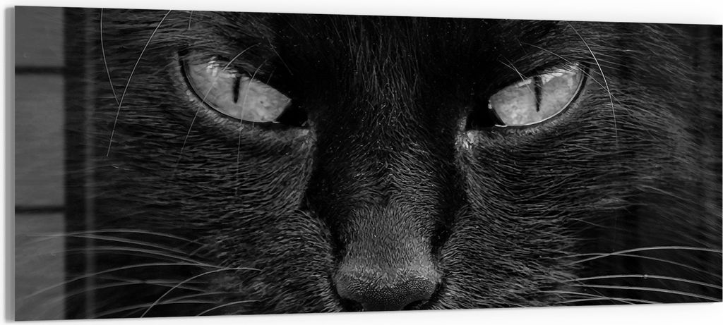 DEQORI Glasbild Acryl 125x50 cm 'Mystische Katzenaugen' Wandbild Bild modern Deko