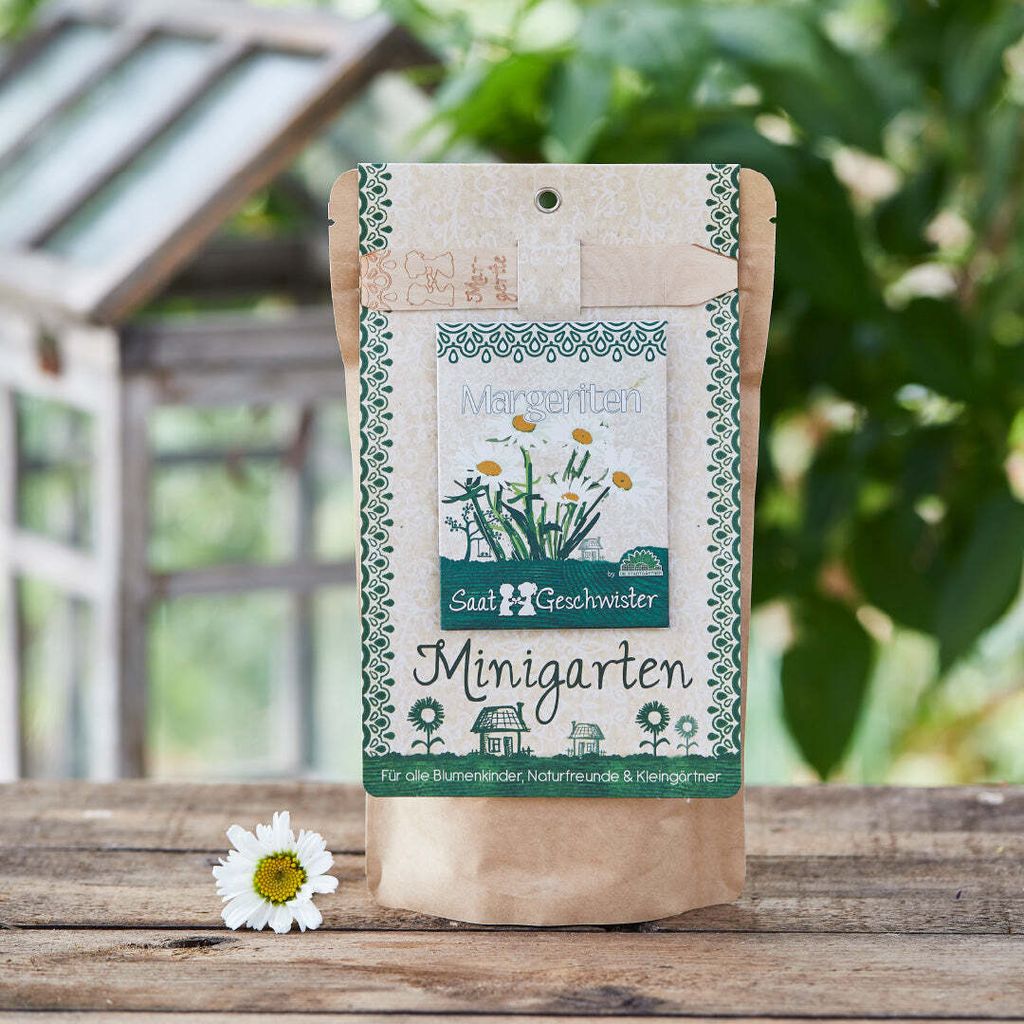 Die Stadtgärtner Minigarten Margarite | Komplettes Pflanzset für die beliebte Zierpflanze
