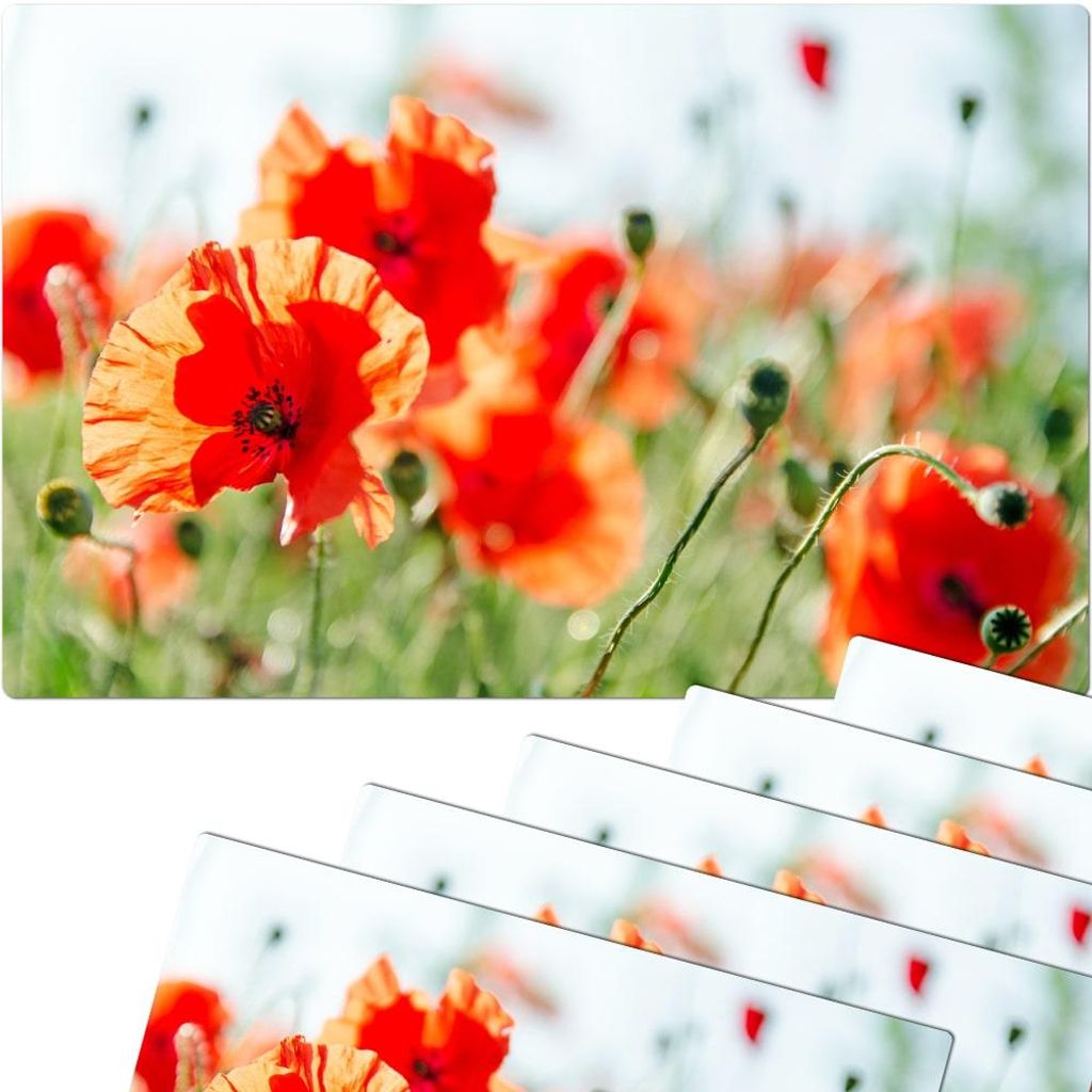 Set di 6 tovagliette lavabili con fiori di papavero estivi Immagine del prodotto 
