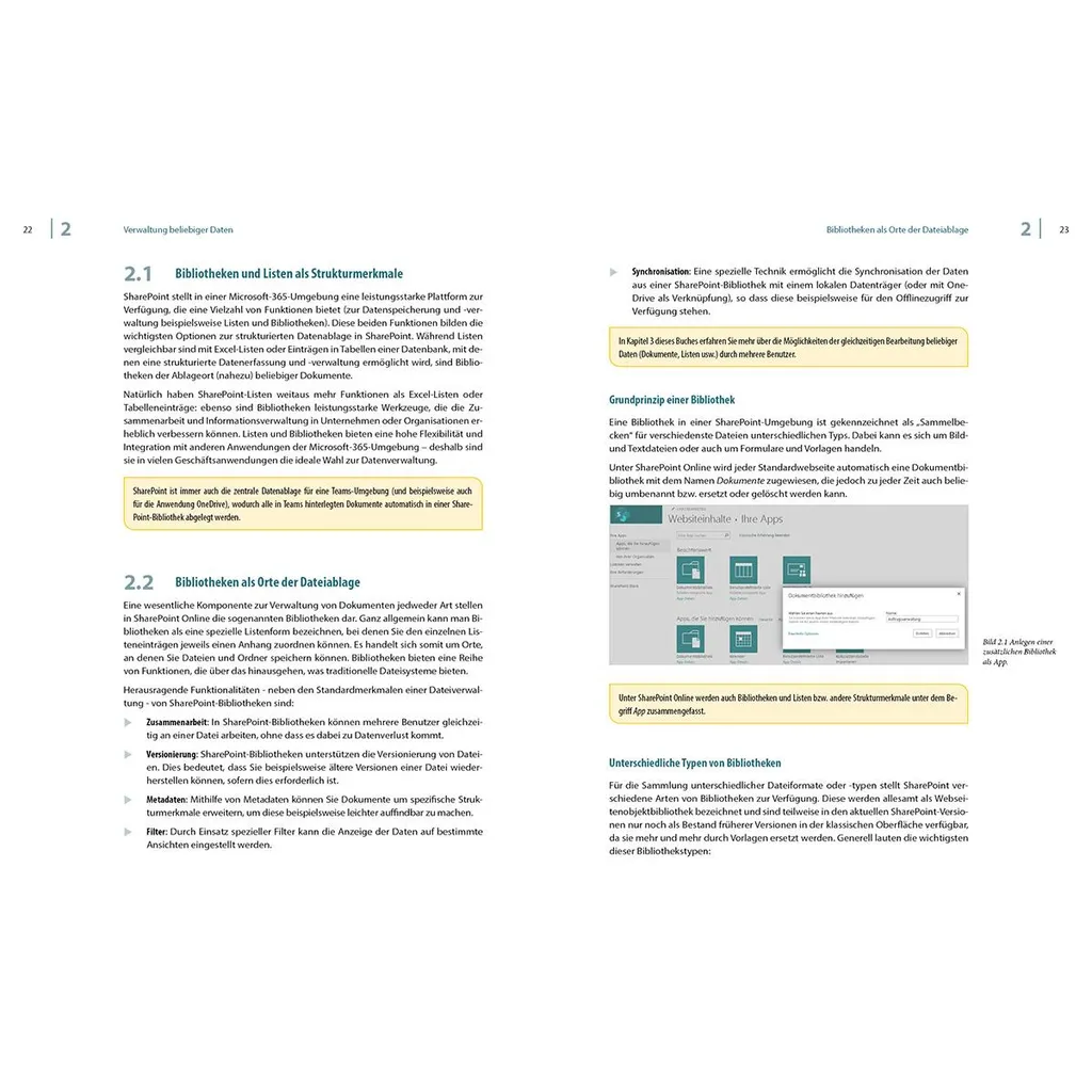 Microsoft SharePoint Online Plan 1 Logiciel de Collaboration Cloud
