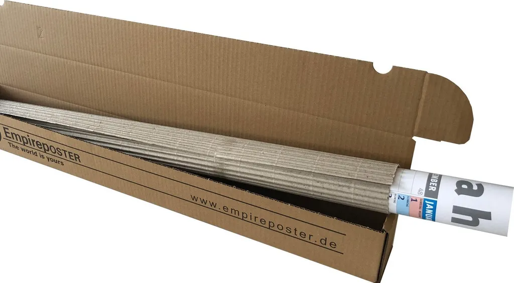 Regalo Originale Ritorno al Futuro: Poster DeLorean e Listelli Pro