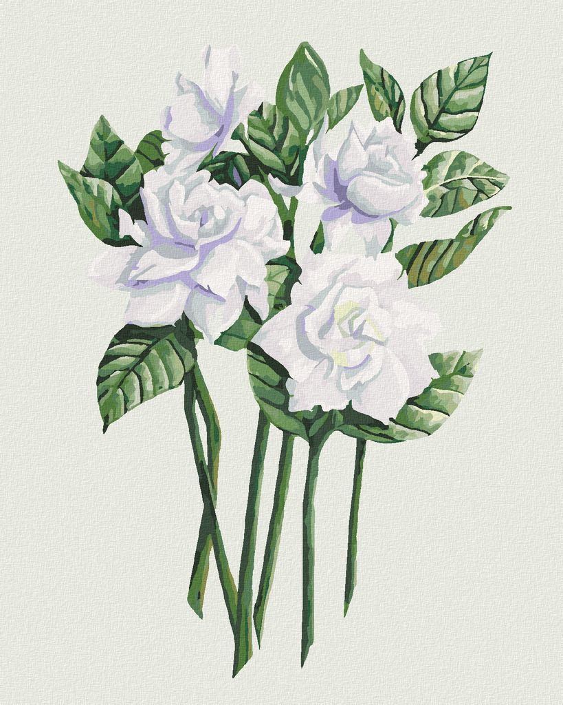 Zuty - Malen nach Zahlen - WEISSE GARDENIENBLÜTEN (ALEXANDRIA GILBERT), 40x50 cm, ohne Keilrahmen
