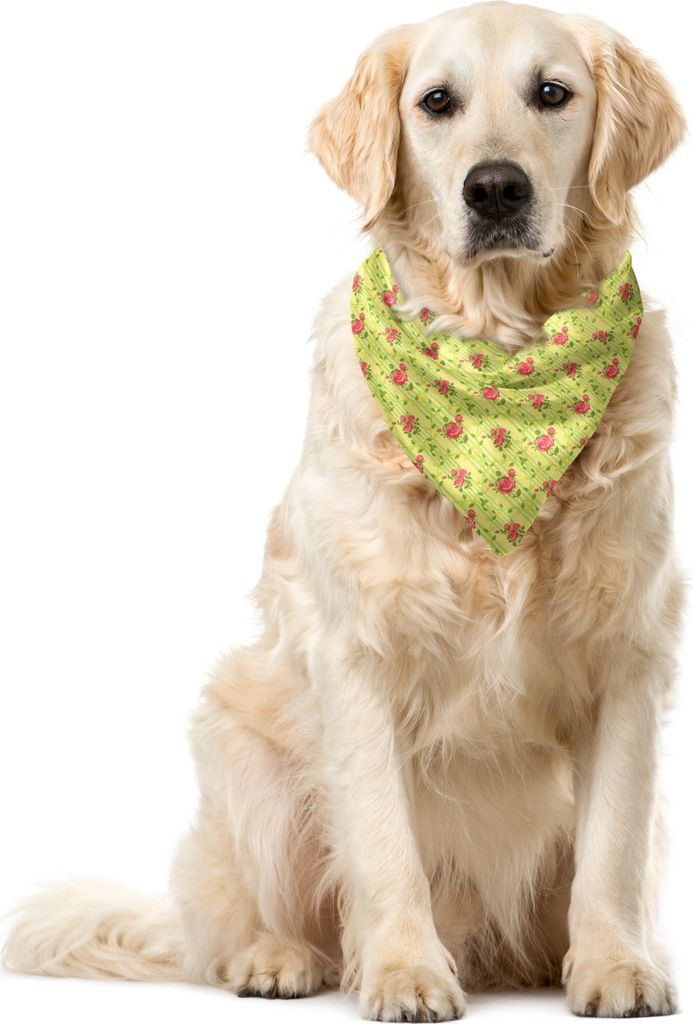 ABAKUHAUS Frühling Haustier Bandana, Pastellgrün Stripes, 55x55 cm, grün Coral