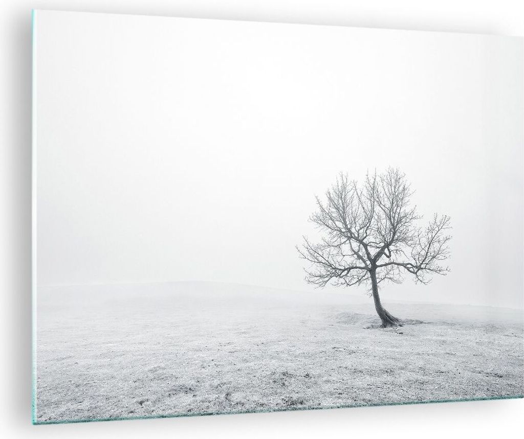 Bilder auf glas - Baum Feld Natur - 70x50cm - Glasbilder - Produktbild 