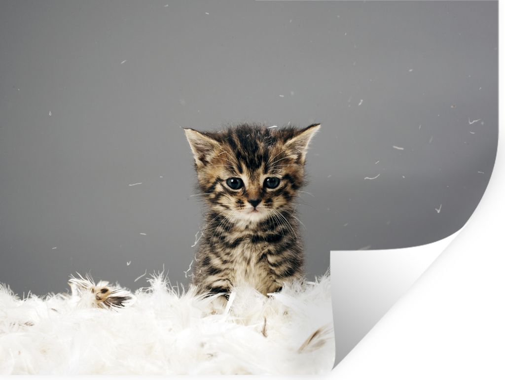 MuchoWow - Aufkleber