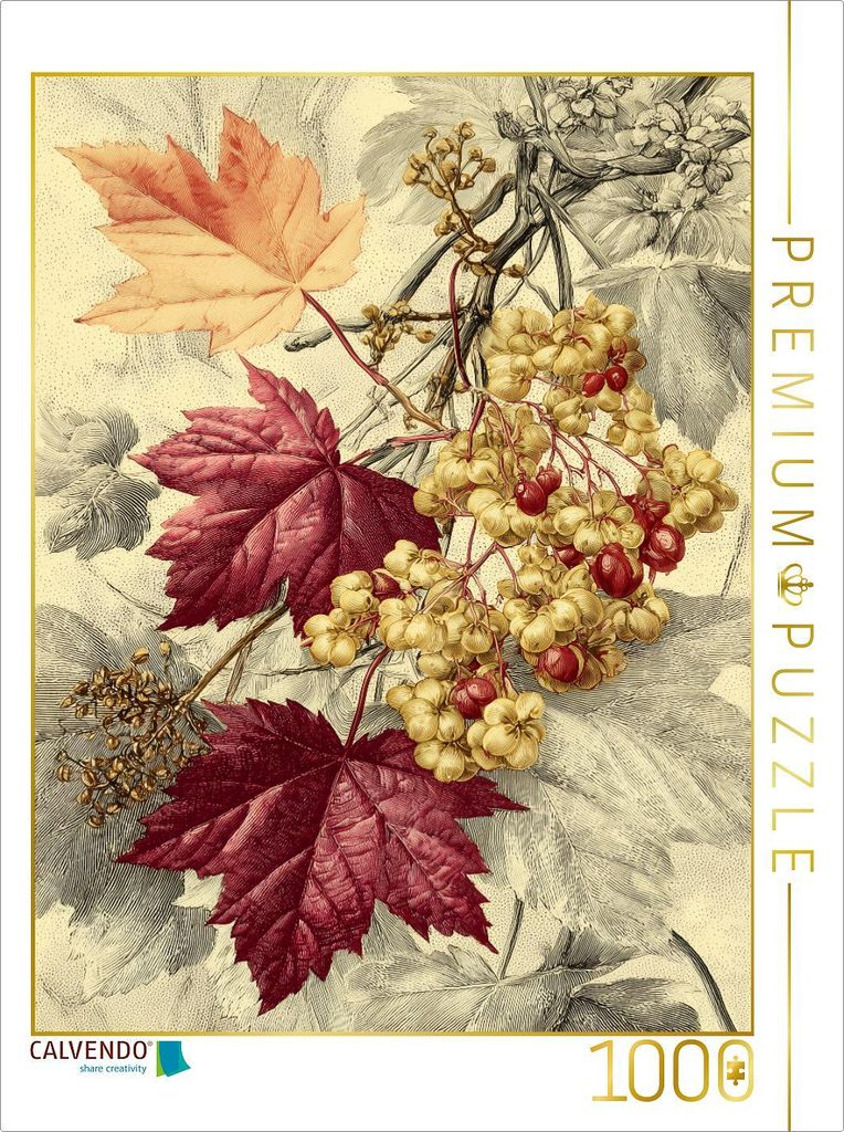 CALVENDO Puzzle Ahornblätter, warme Farbenspiele des Herbstes | 1000 Teile Lege-Größe 64x48cm Foto-Puzzle für glückliche Stunden