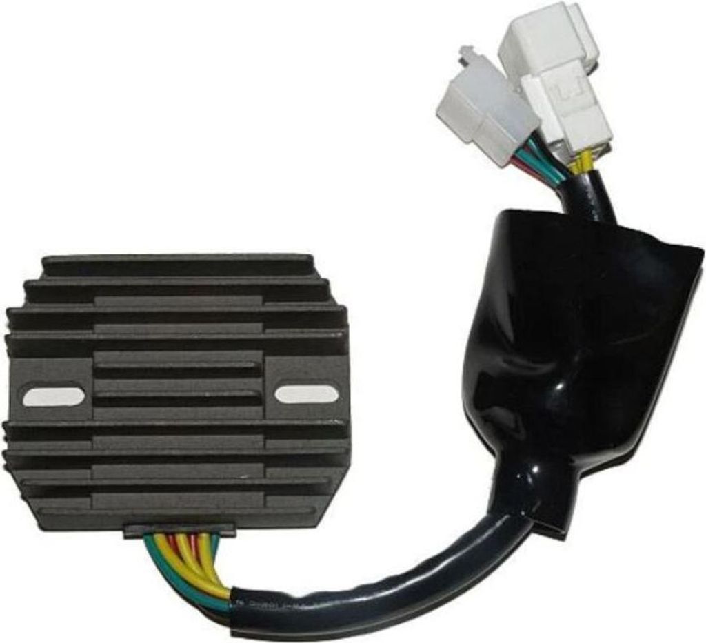 ElectroSport Laderegler ESR 691