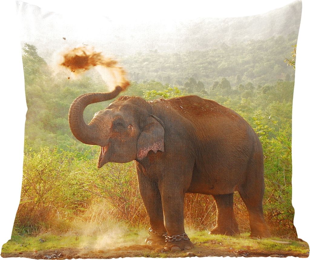 MuchoWow Zierkissen Sofakissen Wohnzimmer Dekokissen 50x50 cm Elefant - Tiere - Wald - Bäume - Komfort - Sofakissen