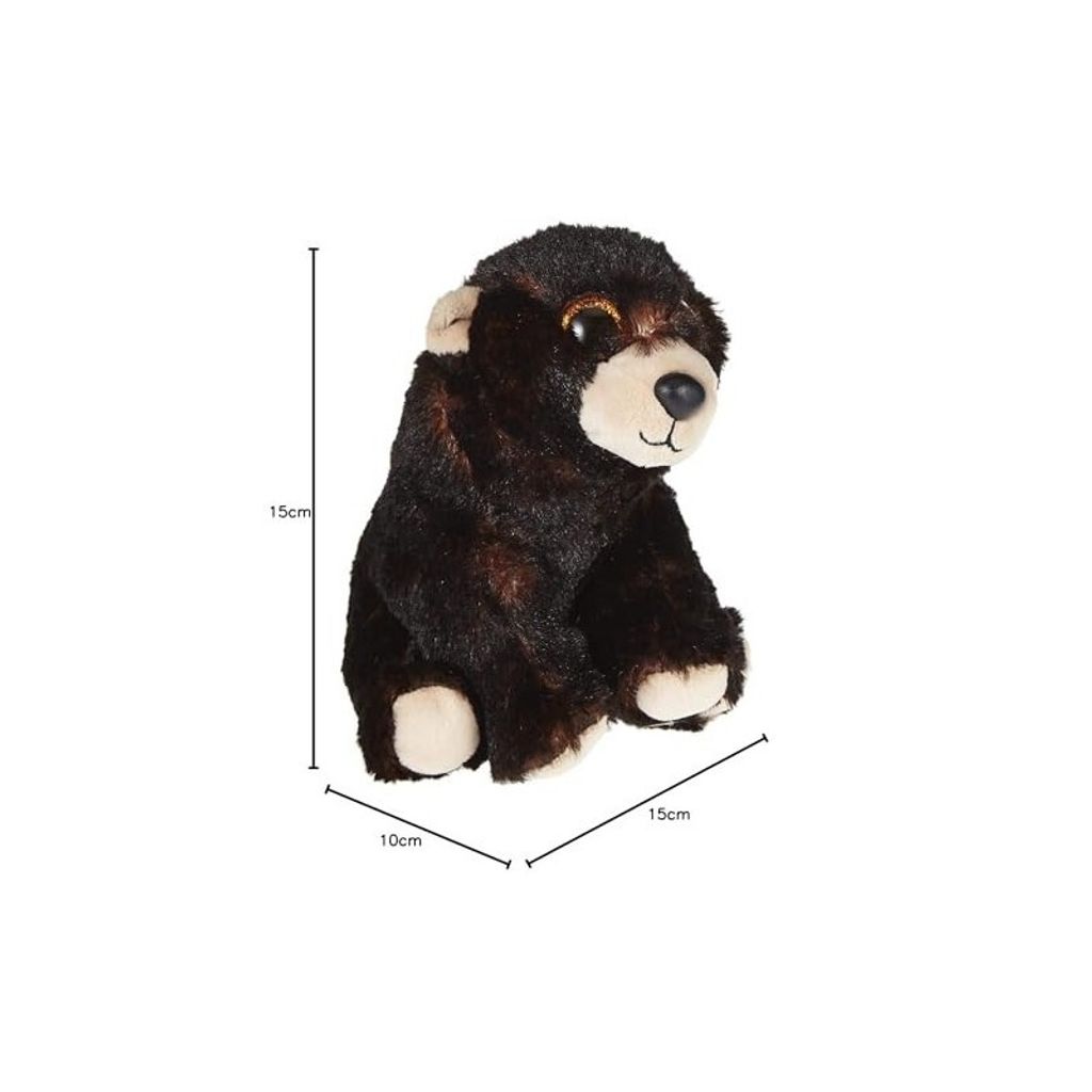 Ty Maple l'ours et Erin l'ours Beanie Babies
