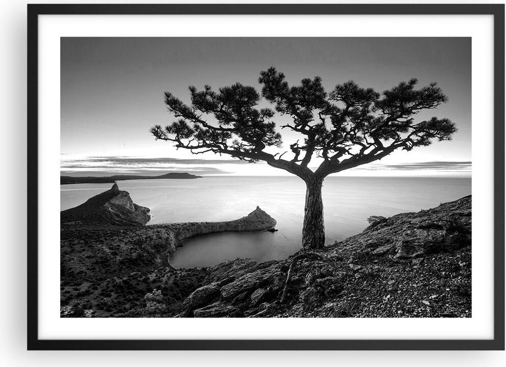 Gerahmtes Poster - Schwarzer Rahmen - Baum Schwarzweiß Ansicht - 70x50 cm - Wand Bild - Wanddeko - Wandbilder - Wandposter - Bilderrahmen - Bilder...