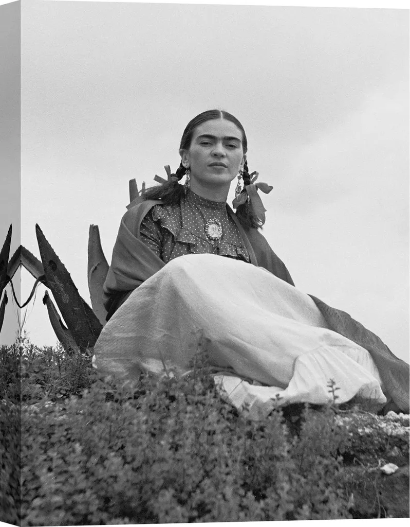 Déco Murale Frida Kahlo Toni Frissell - Habillez vos Murs - Toile 60x40
