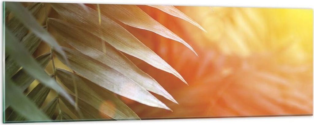 Bilder auf glas - Einteilig - Exotisch Blätter Dämmerung - 90x30cm - Glasbilder - Wandbilder - Bilder - zum Aufhängen bereit - Wanddekoration au...