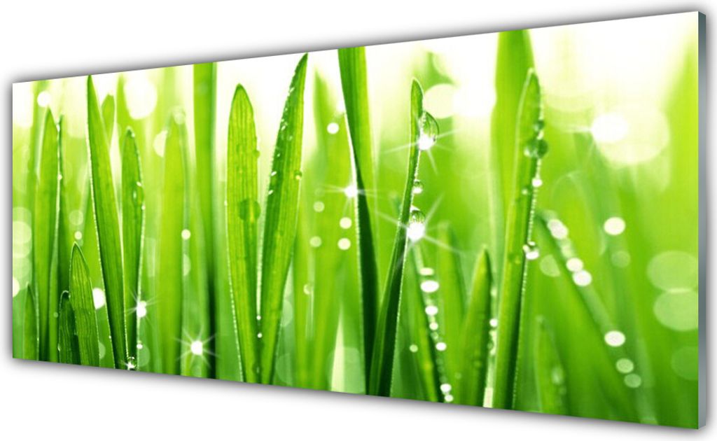 Glasbilder 125x50 Wandbild Druck auf Glas Gras Pflanzen