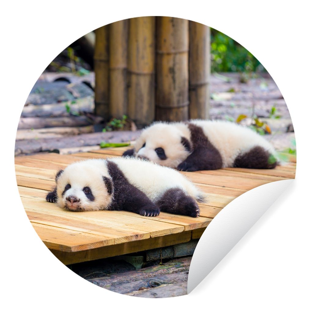 MuchoWow Runde Wandtattoo - Wandsticker Tapete Aufkleber Pandas - Boden - Holz Ø 30 cm Selbstklebend und Repositionierbar - Wandaufkleber - Krei...