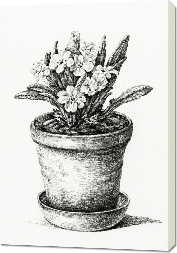 Bild 70x100cm Topfpflanze, Jean Bernard Vintage für das Wohnzimmer