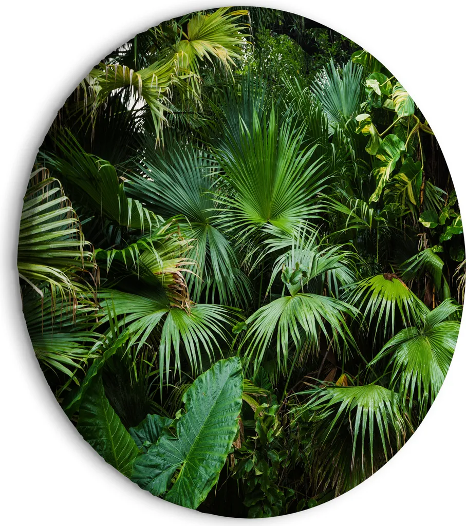 Quadro Rotondo 80x80 cm Monstera 3D - Tela Moderna Tropicale XXL