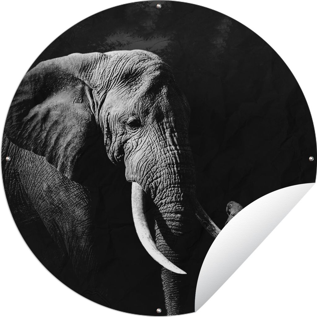 MuchoWow Gartenposter Outdoor-Poster Rund Elefant - Papagei - Zähne - Schwarz - Weiß Ø 120 cm Gartendeko Rundes Poster draußen