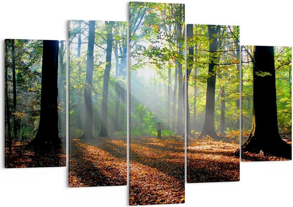 Bild auf Leinwand - Leinwandbild - Wald Blätter Sonne - 150x100cm - Wand Bild - Wanddeko - Leinwanddruck - Bilder - Kunstdruck - Wanddekoration - ...