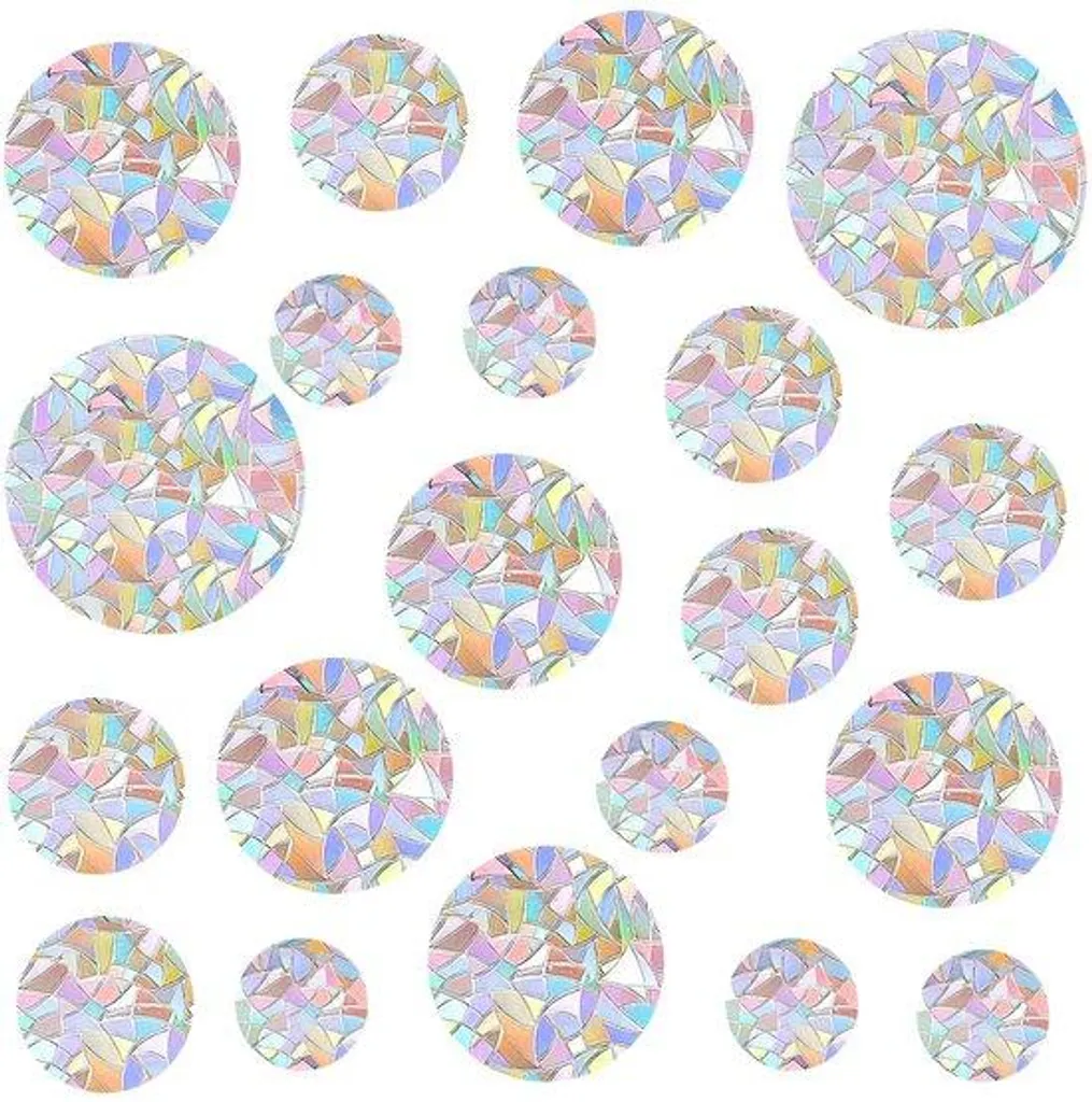 Film de Protection Anti-Oiseaux : Stickers Prismatiques pour Fenêtres