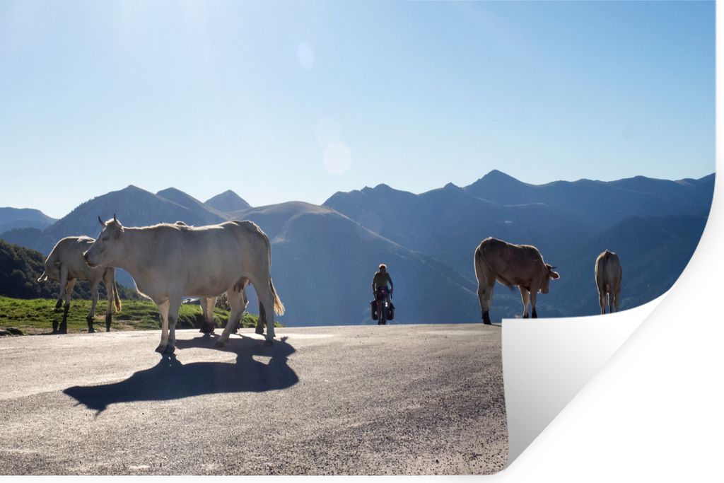 MuchoWow Wandtattoo Wandsticker Wandaufkleber Schottische Highlander - Licht - Berge - Natur 90x60 cm Selbstklebend und Repositionierbar - Aufkleber