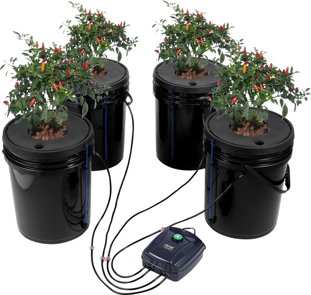 A hydroponics grow system with four buckets, each containing a plant, connected to an air pump.