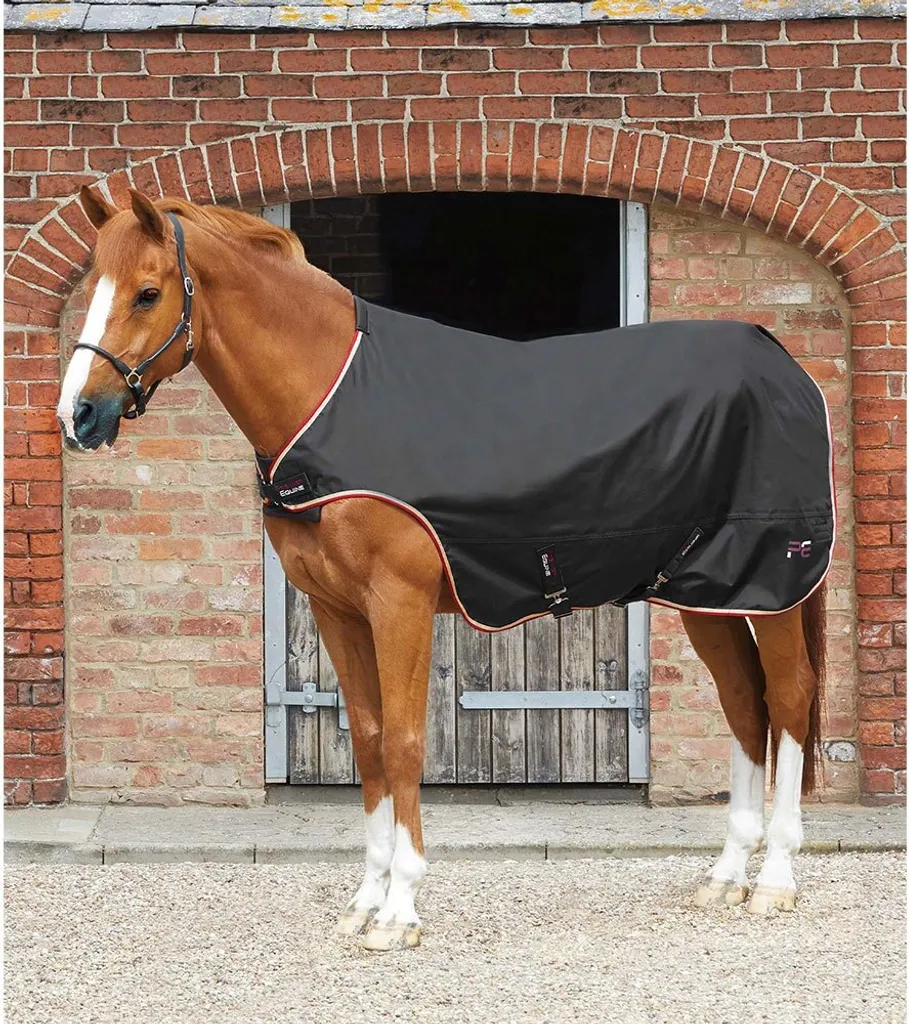 Couverture Horse Walker Premier Equine 100g Noire 175 cm pour Cheval