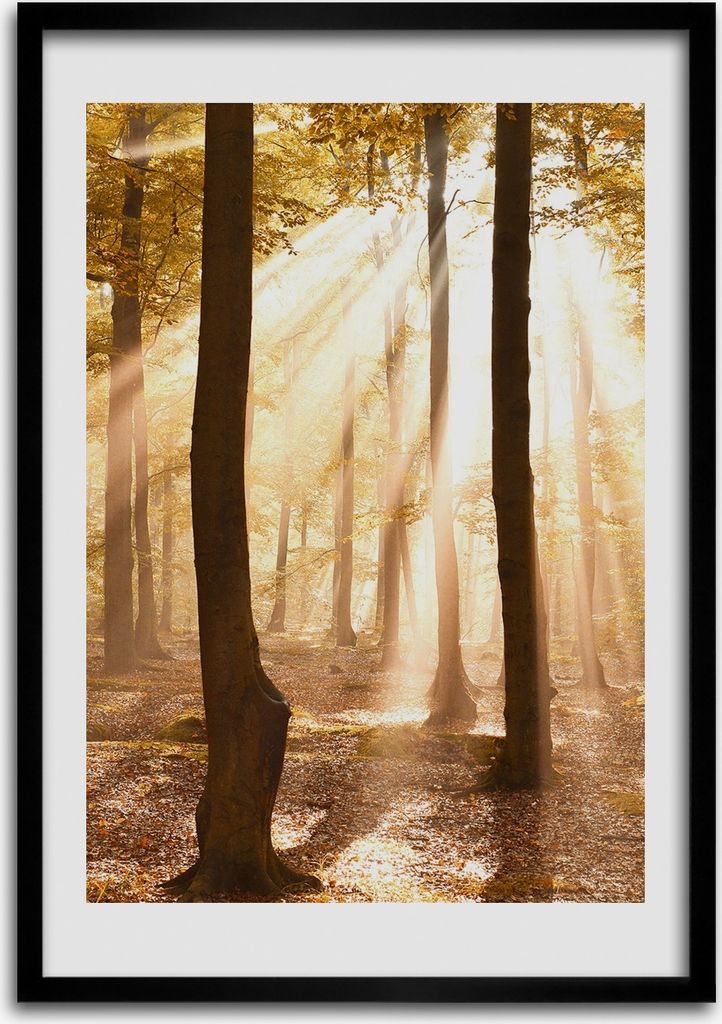 Bild - Bilderrahmen - Foto - 70 cm x 100 cm - MDF - Rahmen Produktbild 