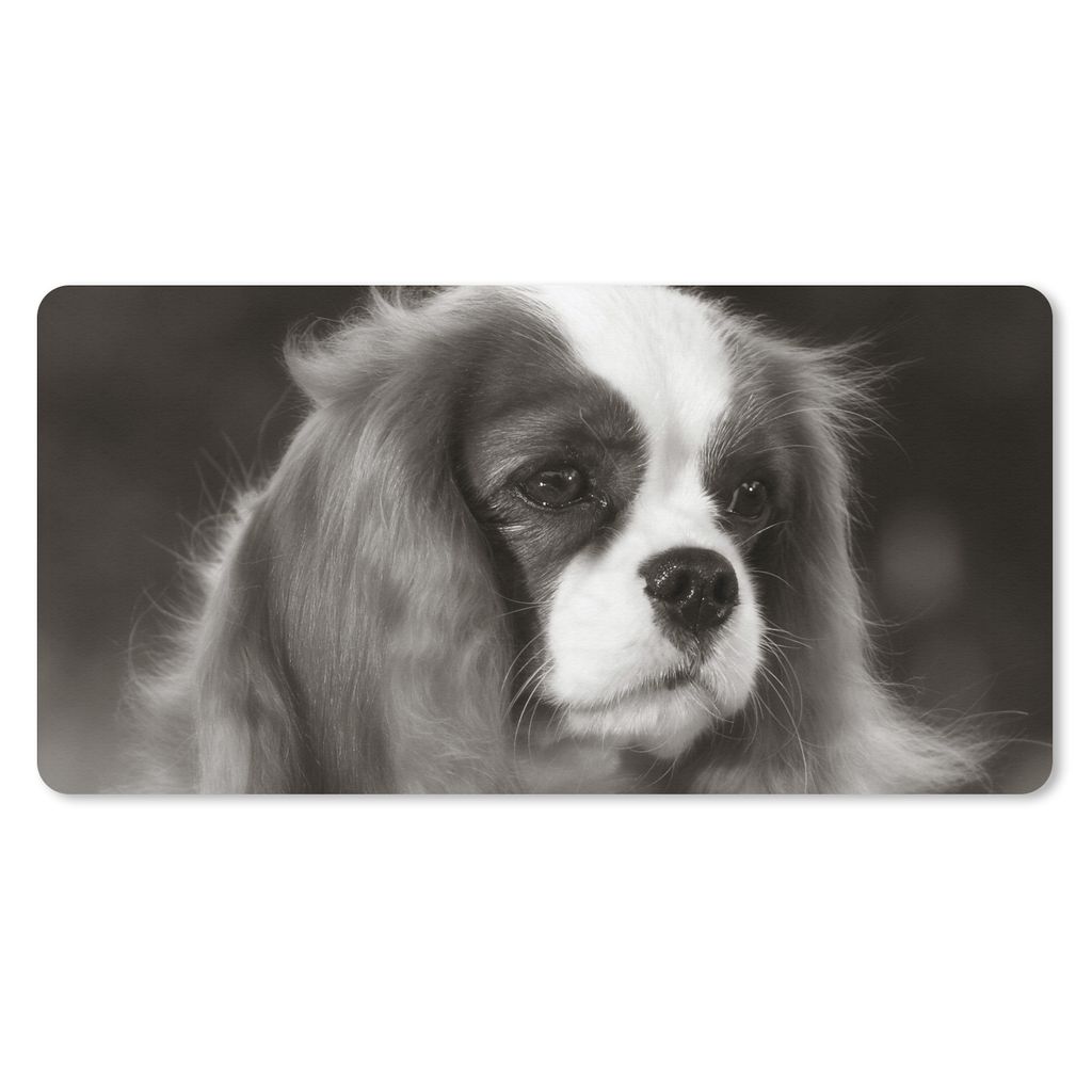 MuchoWow Schreibtischunterlage Schwarz-Weiß-Foto eines Cavalier King Charles Spaniels 80x40 cm - XXL Mauspad - Gaming Mauspad