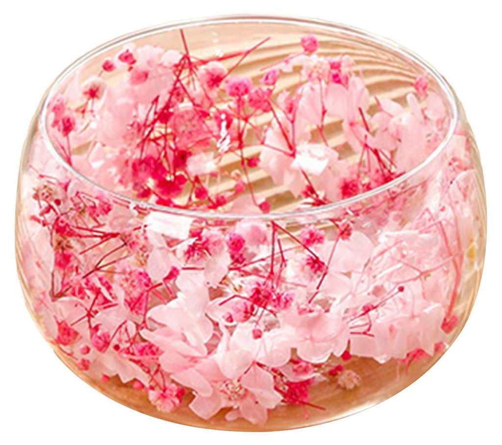 Doppelwandige Glasschüssel mit echten gepressten Blüten, hitze- und kältebeständig, transparent, ideal für Salate und Desserts, hübsche Küch...