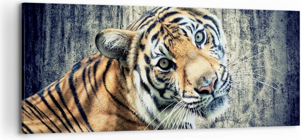 Bild auf Leinwand - Leinwandbild - Indien stein tiger wild - 120x50cm - Wand Bild - Wanddeko - Leinwanddruck - Bilder - Kunstdruck - Wanddekoration...