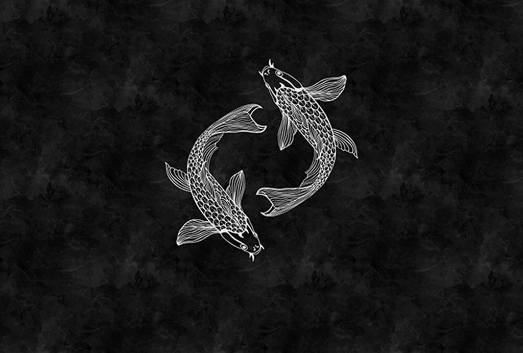 Tadessi Fototapete | Tiere | 4.00 m x 2.70 m | Weiß | Schwarz | Wandbild | Digitaldruck