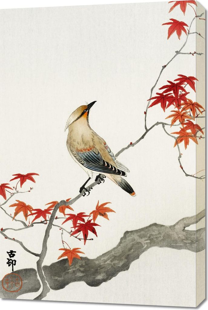 Bild 60x90cm Japanischer Pestvogel auf Ahorn, Koson Vintage für das Wohnzimmer