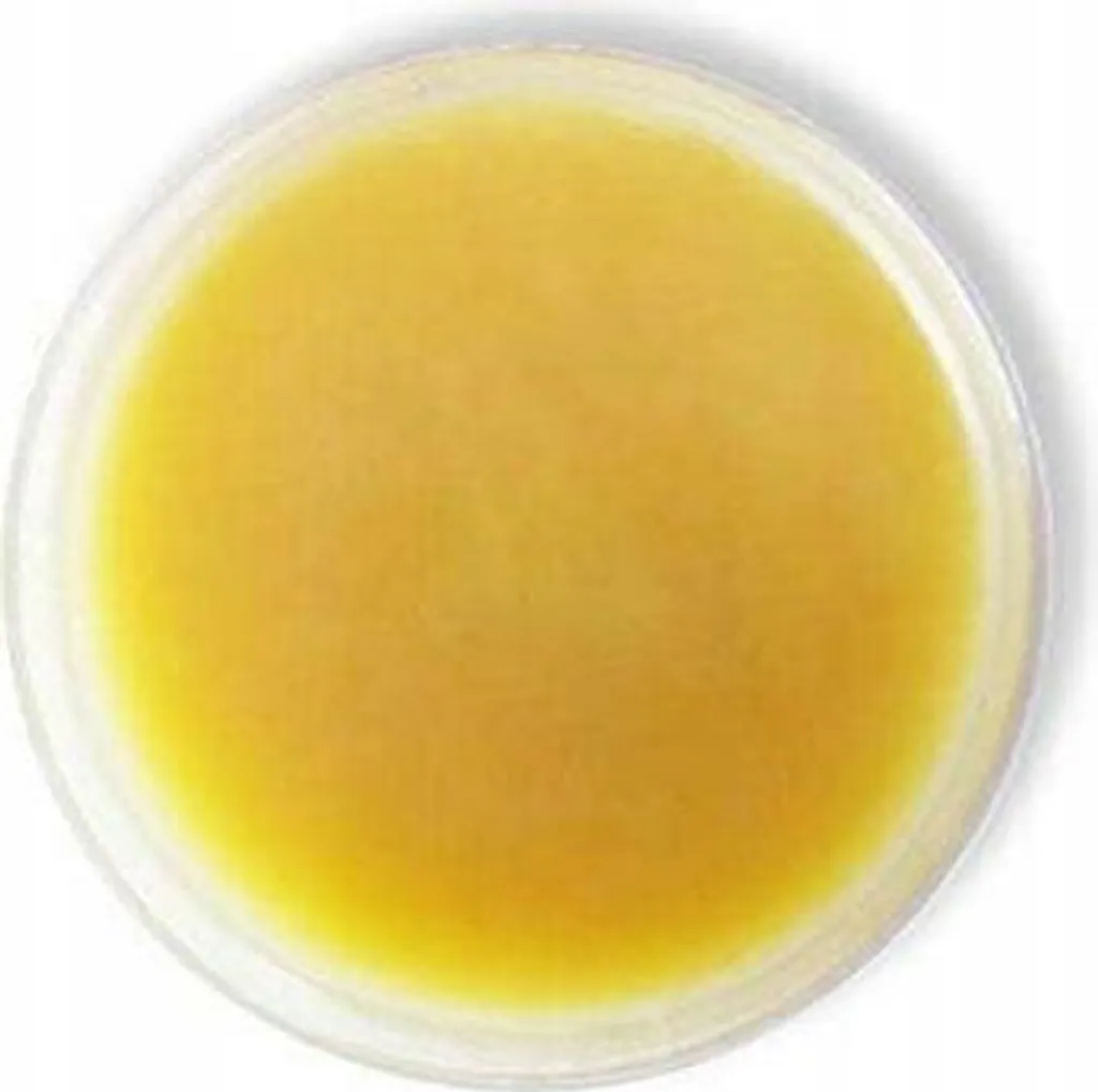 Cire antiadhésive 100 ml : faciliter le démoulage des silicones et résines