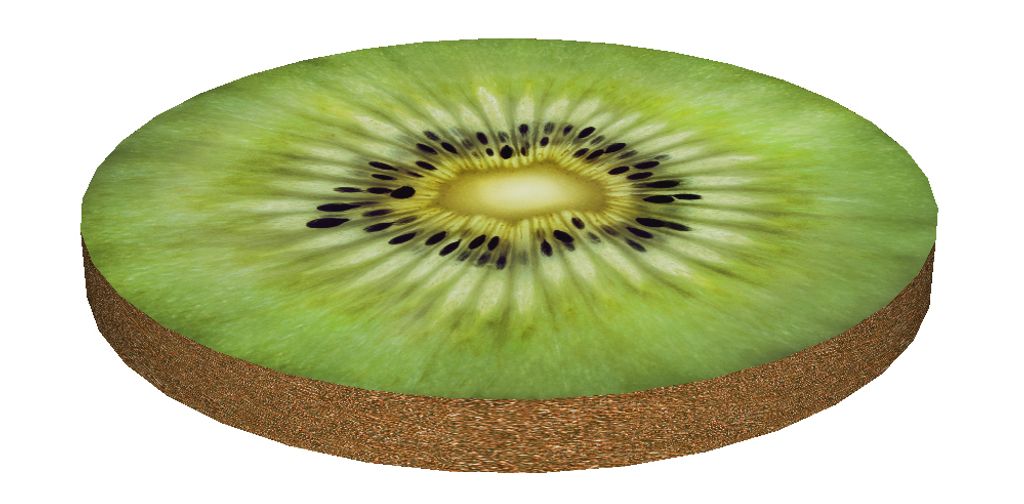 A cross-section of a kiwi fruit.