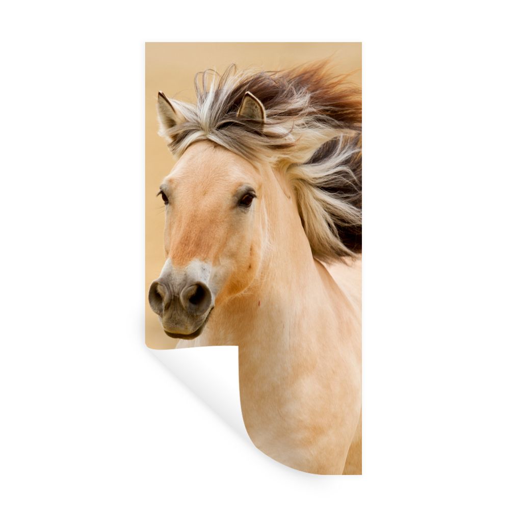 MuchoWow Wandtattoo Wandsticker Wandaufkleber Pferde - Tiere - Mähne - Porträt 60x120 cm Selbstklebend und Repositionierbar - Selbstklebend - F...