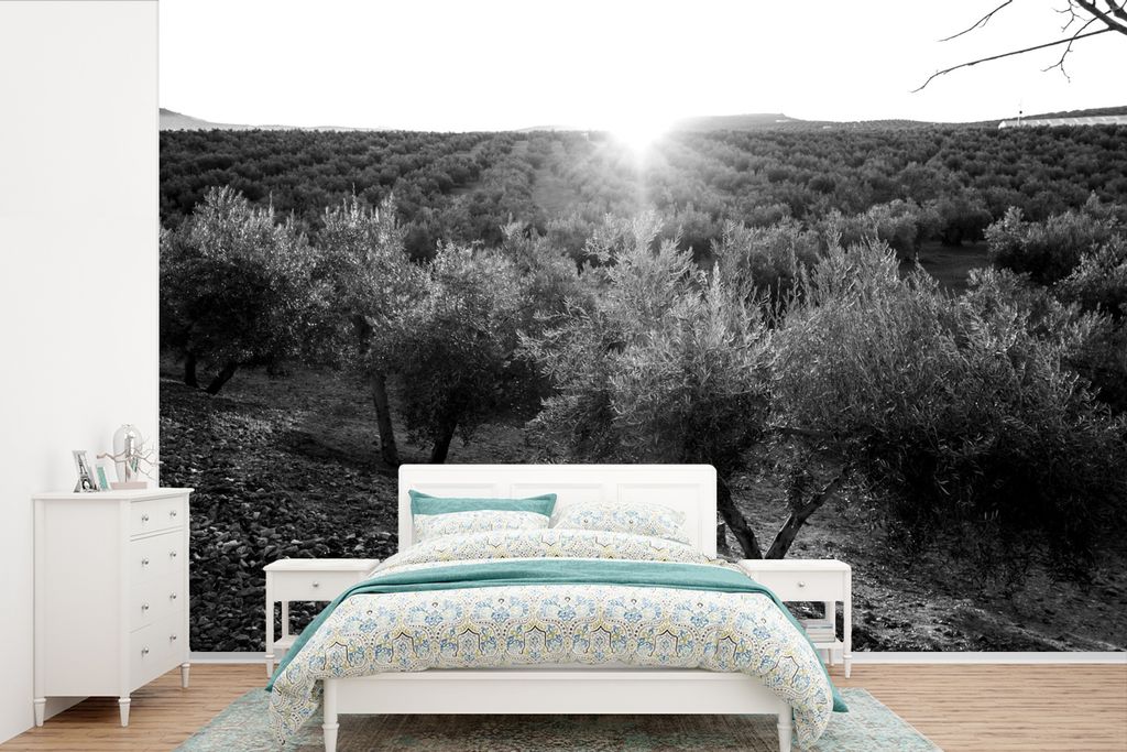 MuchoWow Fototapete für Wohnzimmer oder Schlafzimmer Wandtapete Vinyl Motivtapete Sonnenuntergang über dem Olivenhain - schwarz und weiß - 420...