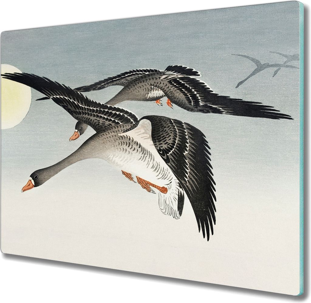 Coloray Herdabdeckplatte 60x52 cm Schneidebrett Kochplattenabdeckung Küchenbrett Hackbrett - Tiere Vögel Himmel Sonne