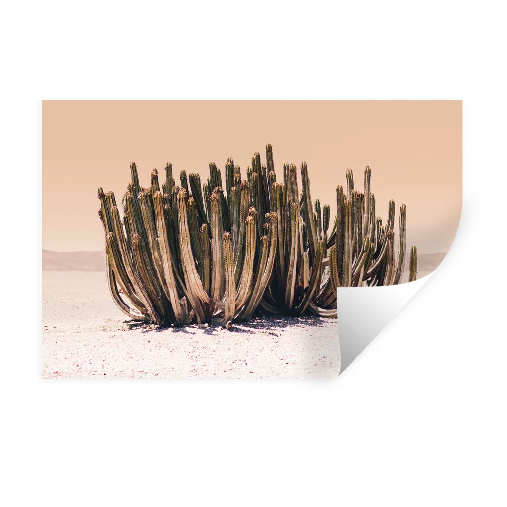 MuchoWow Wandtattoo Wandsticker Wandaufkleber Kaktus - Pflanze - Natur - Grün 90x60 cm Selbstklebend und Repositionierbar - Aufkleber