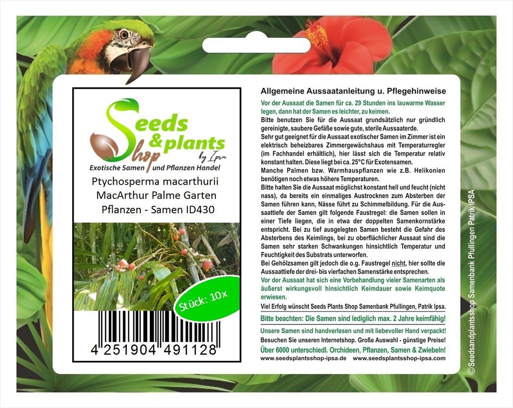 10x Ptychosperma macarthurii MacArthur Palme Garten Pflanzen - Samen ID430