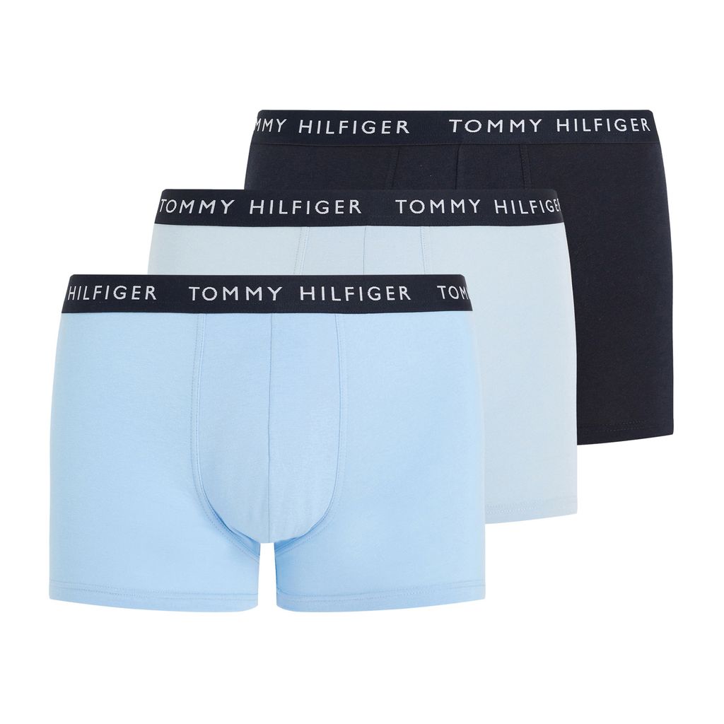 Tommy Hilfiger Boxer briefs UM0UM022030W4 in Blue color size small